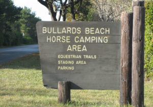 Bullards Beach Horse Camping Area